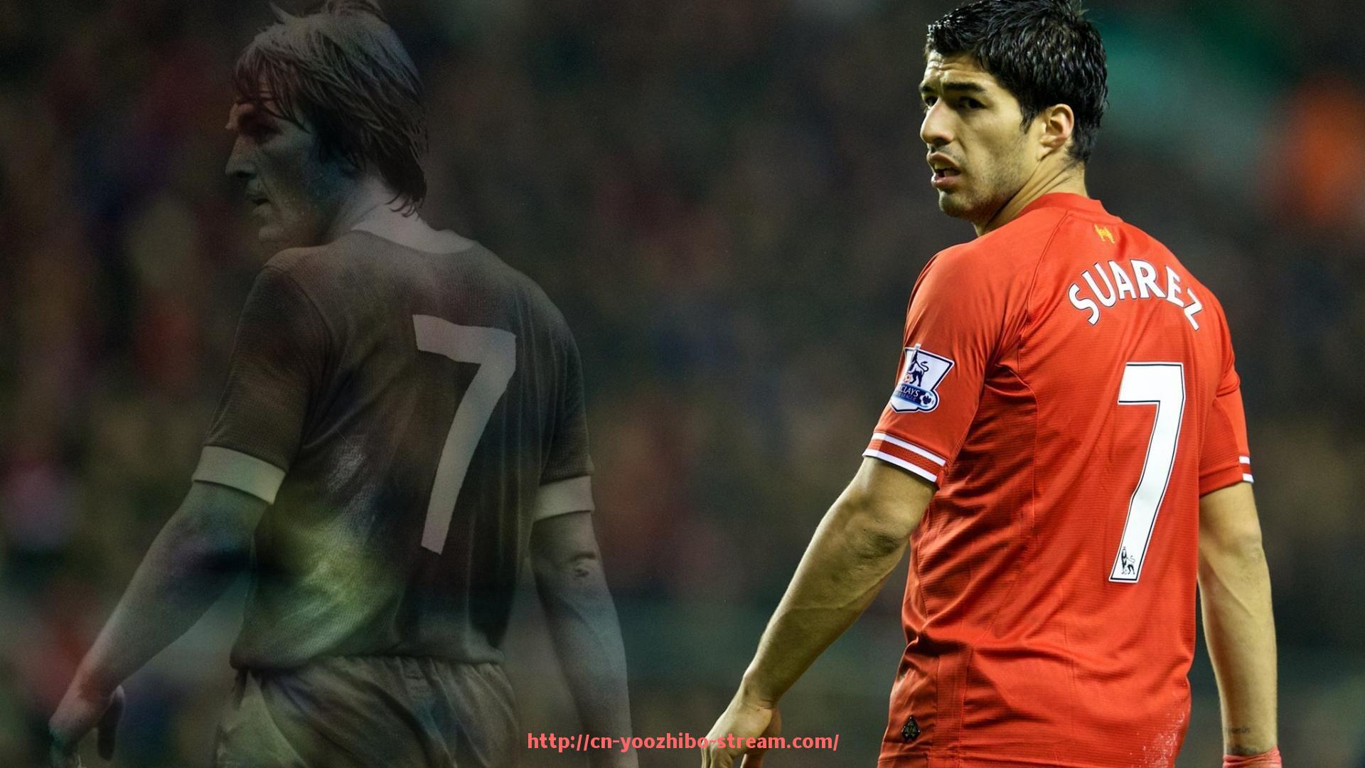 优直播-舒华健身器材价格详解及其在体育训练中的性价比分析